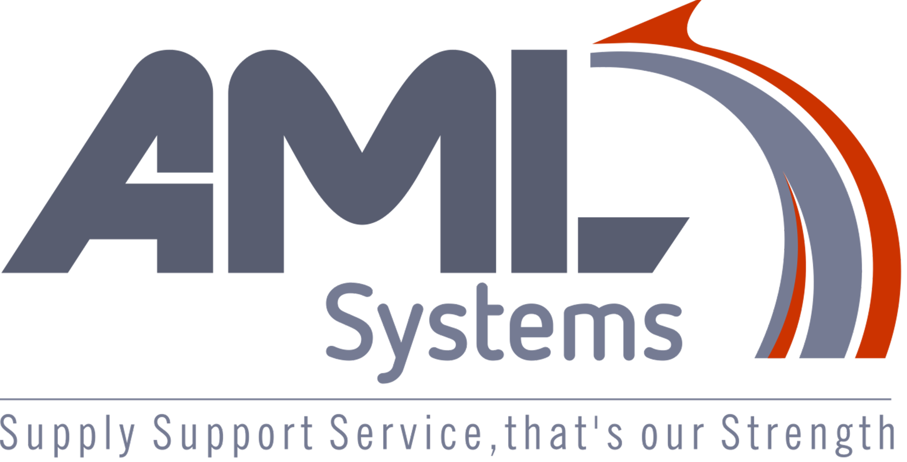 AML-Systems Co.,Ltd.